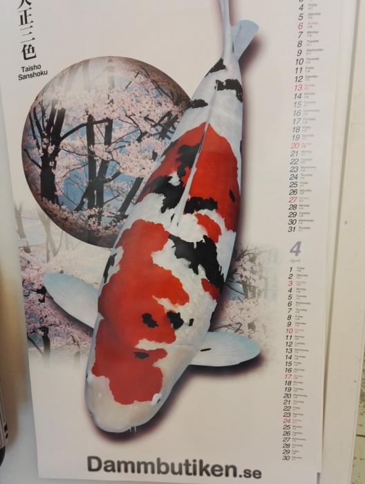  Hikari Kalender 2018
