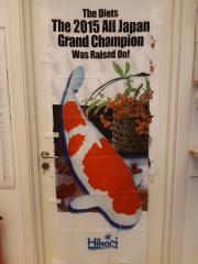  Hikari flagga med Grand Champion 2015