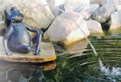  Vattensprutande stor groda