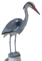  Häger ca 85 cm hög