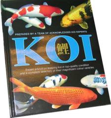 Koi Ornamental - Allt om Koi