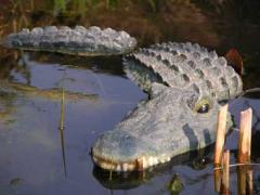  Krokodil tredelad