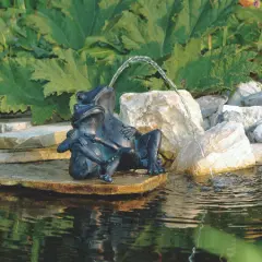  Vattensprutande sittande grodpar